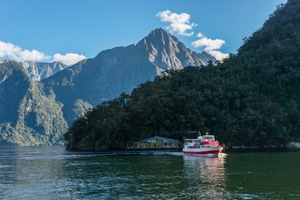 皇后镇 米尔福德峡湾南方探索游船（皮划艇 水下探测馆可选）|新西兰南岛